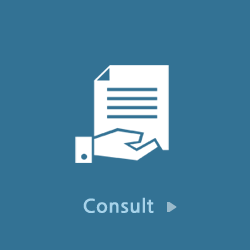 consult